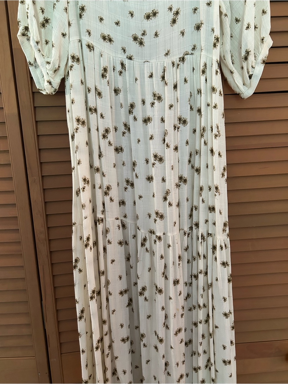 Carly Jean Los Angeles Cream Maxi Dress with Brown Floral Print - Picture 4 of 7